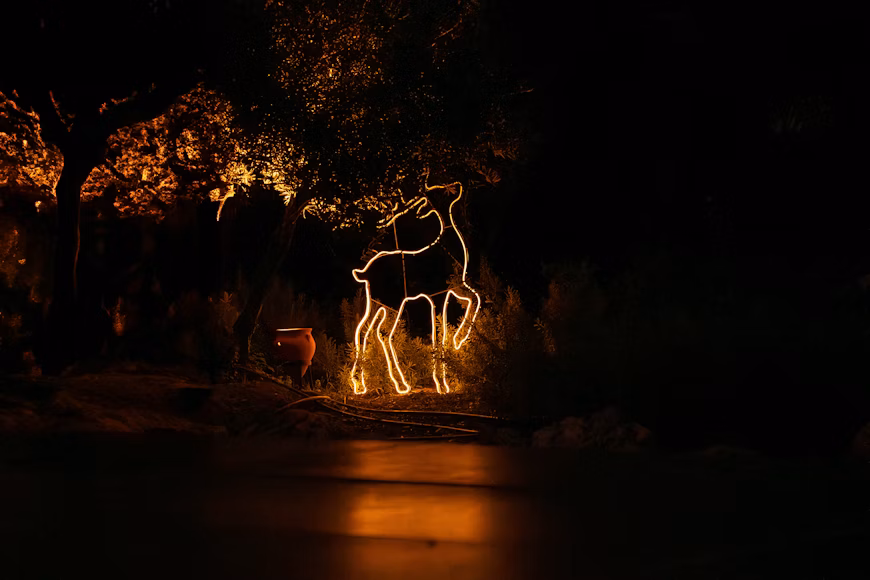 holiday lights denver